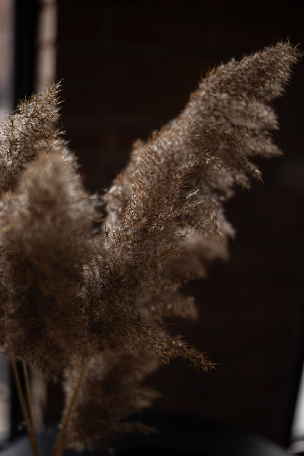 Cocktail_fire_Negroni_Aperol_1ou2cocktails_AW3A1631