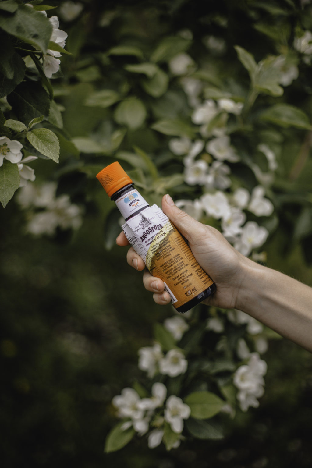 Angostura bitter à l'orange