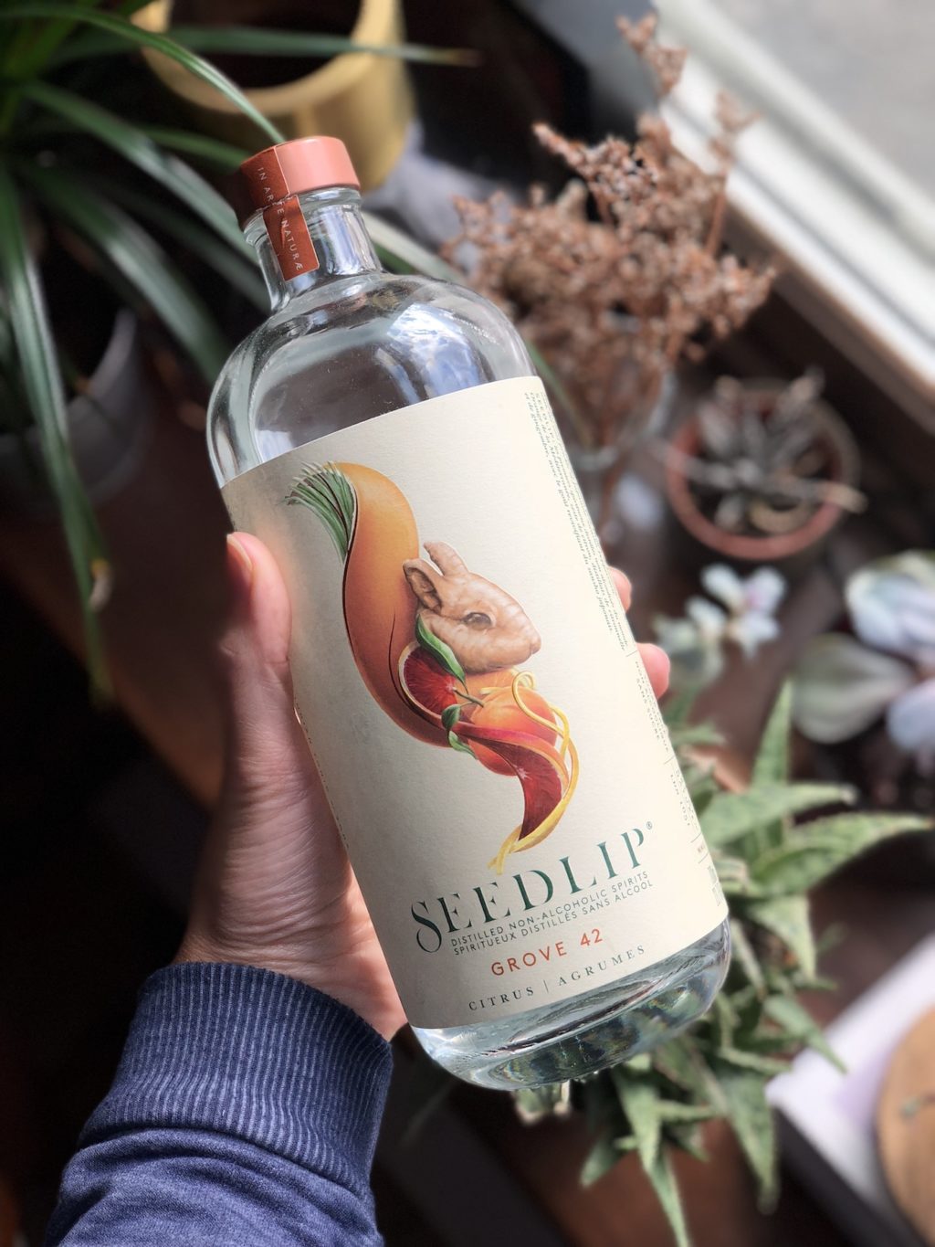 Seedlip