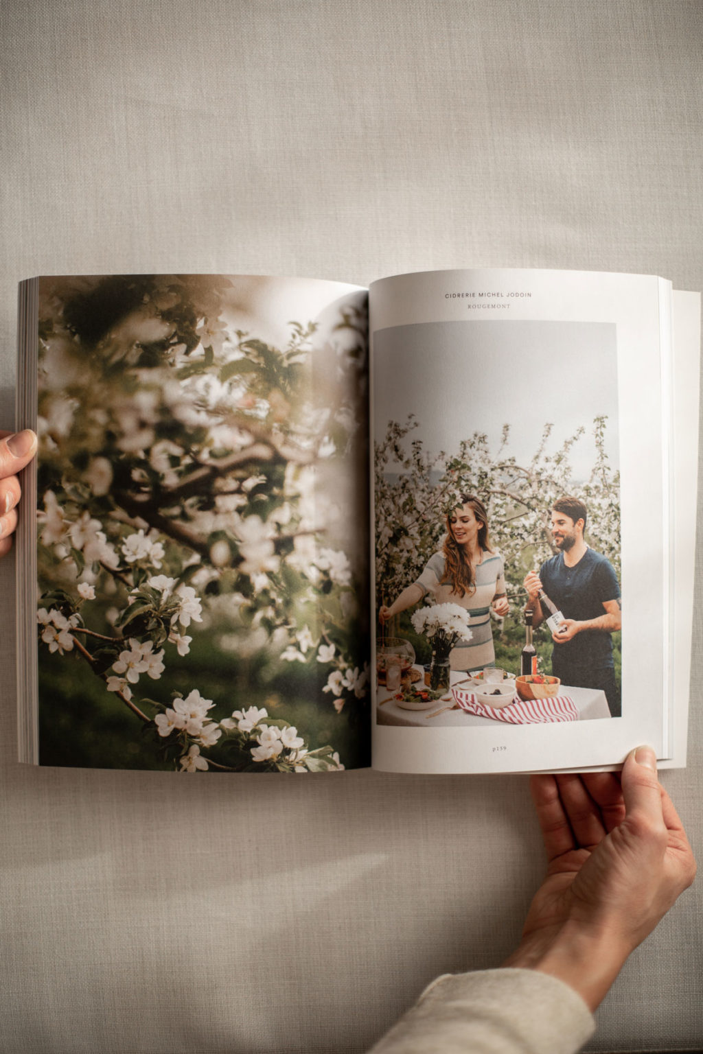 Livre_L&rsquo;Apéro_au_québec_1ou2cocktails_intérieur