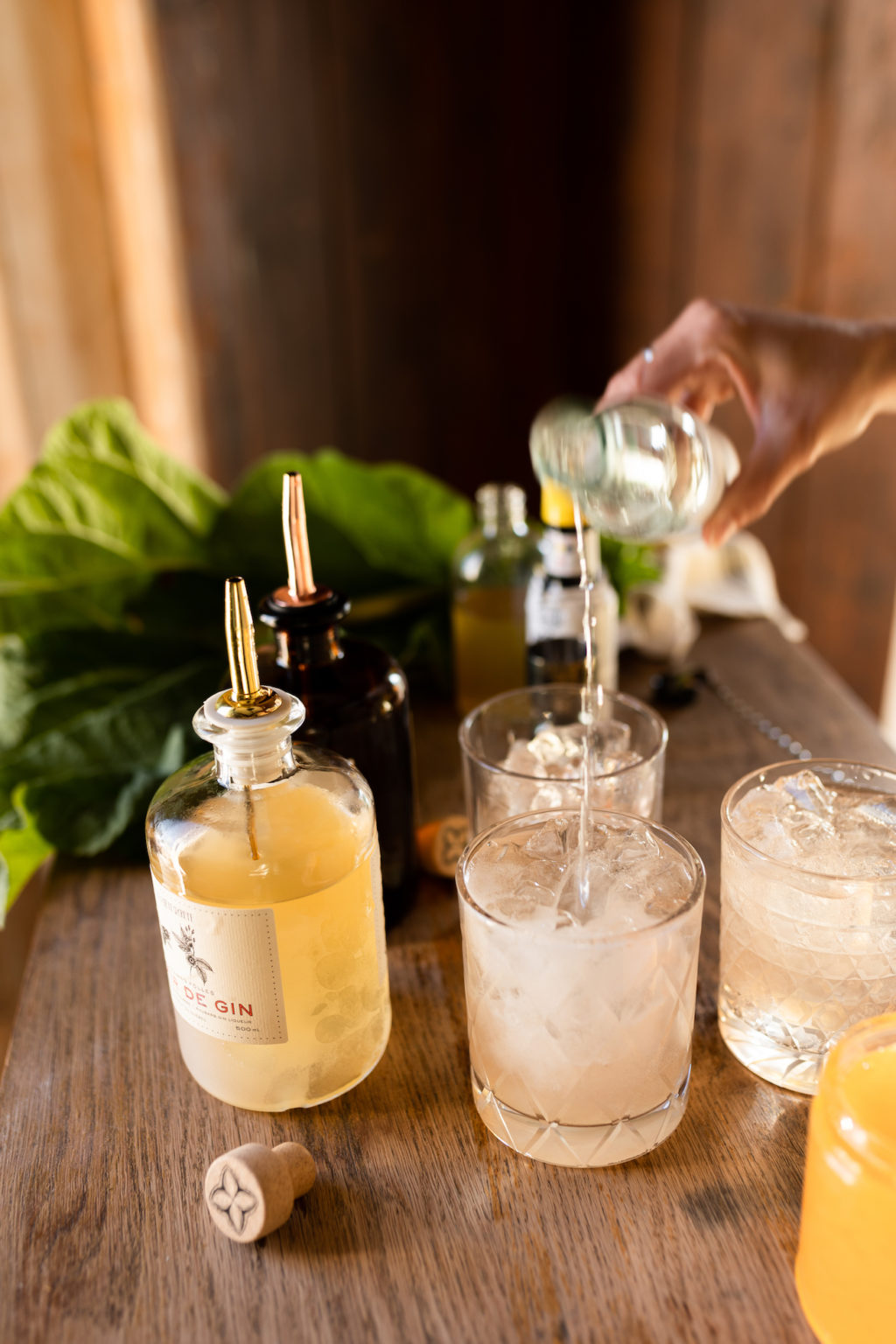 Cocktail_Gin_Tonic_Rhubarbe_Societe_Secrete_1ou2cocktails_AW3A5451