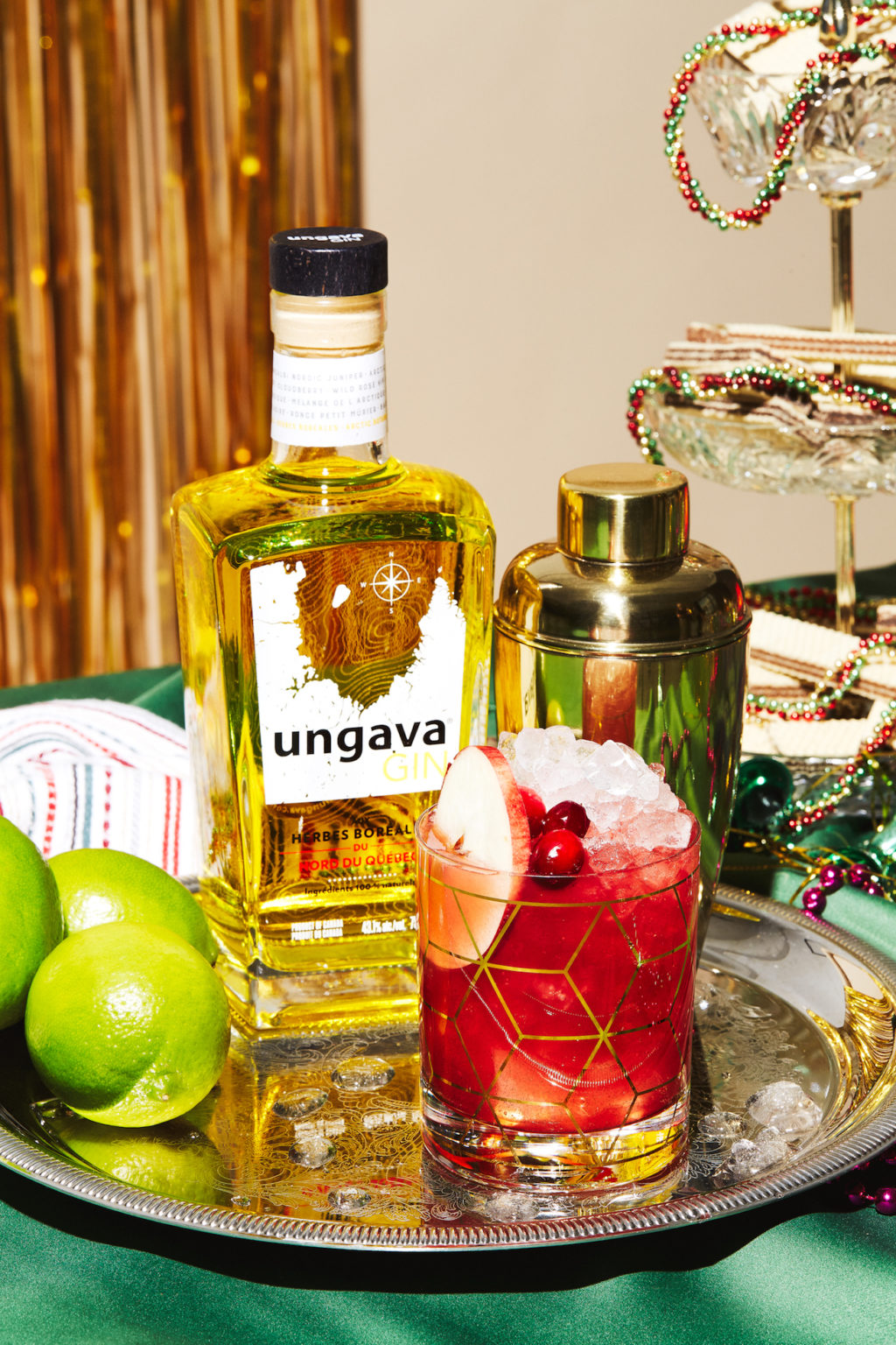 Cocktail_festif_gin_Ungava_canneberges_1ou2cocktails_kp_11222021_18903_lr