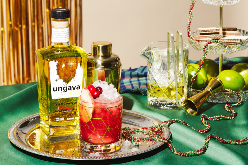 Cocktail_festif_gin_Ungava_canneberges_1ou2cocktails_kp_11222021_18963_lr