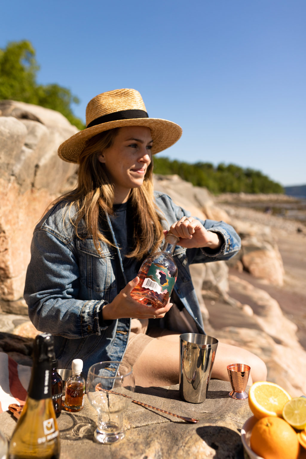 Liqueur_quebecoise_eglantine_Vent_du_nord_1ou2Cocktails