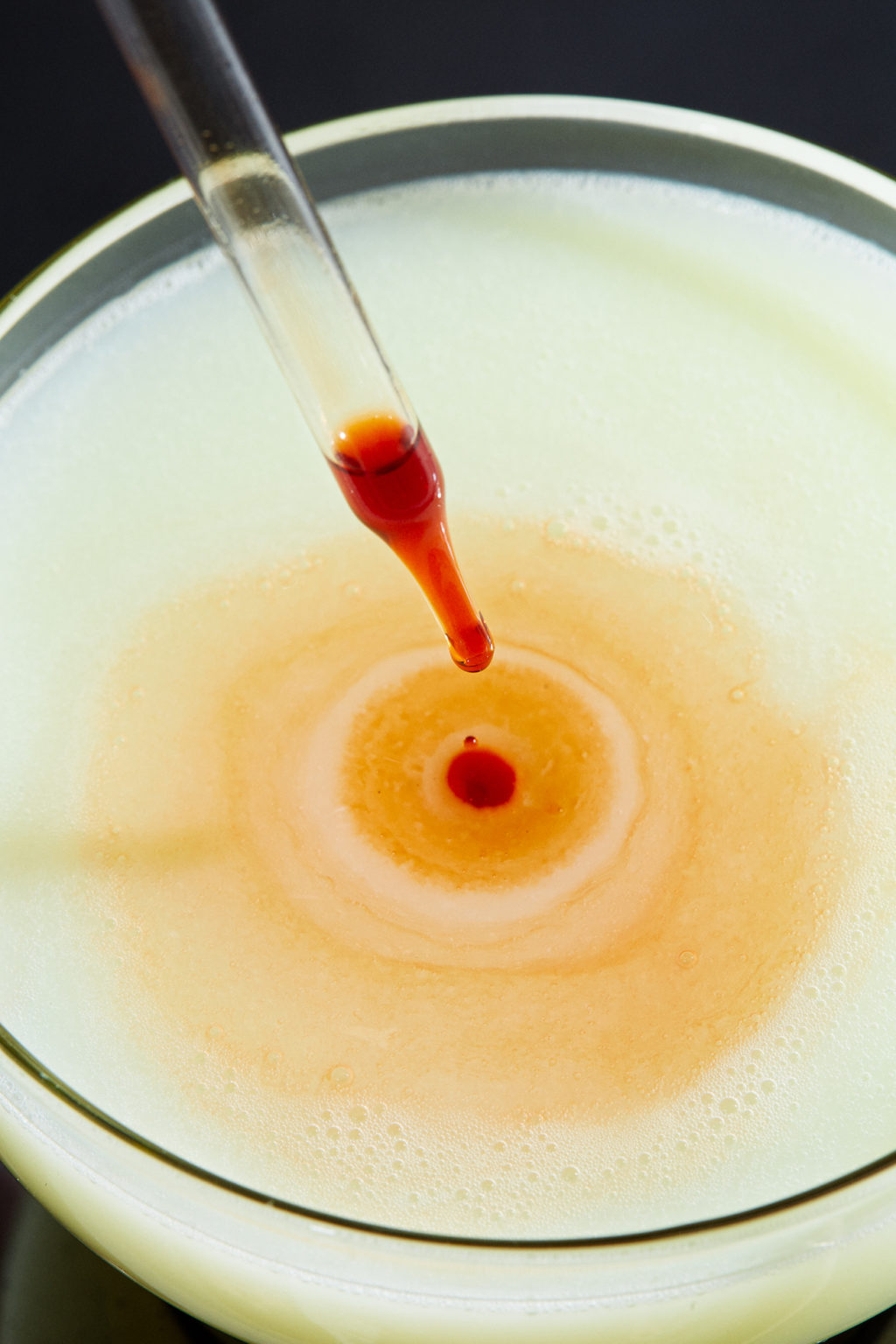 Cocktail_chartreuse_sour_1ou2Cocktails_kp_01172022_20189_lr