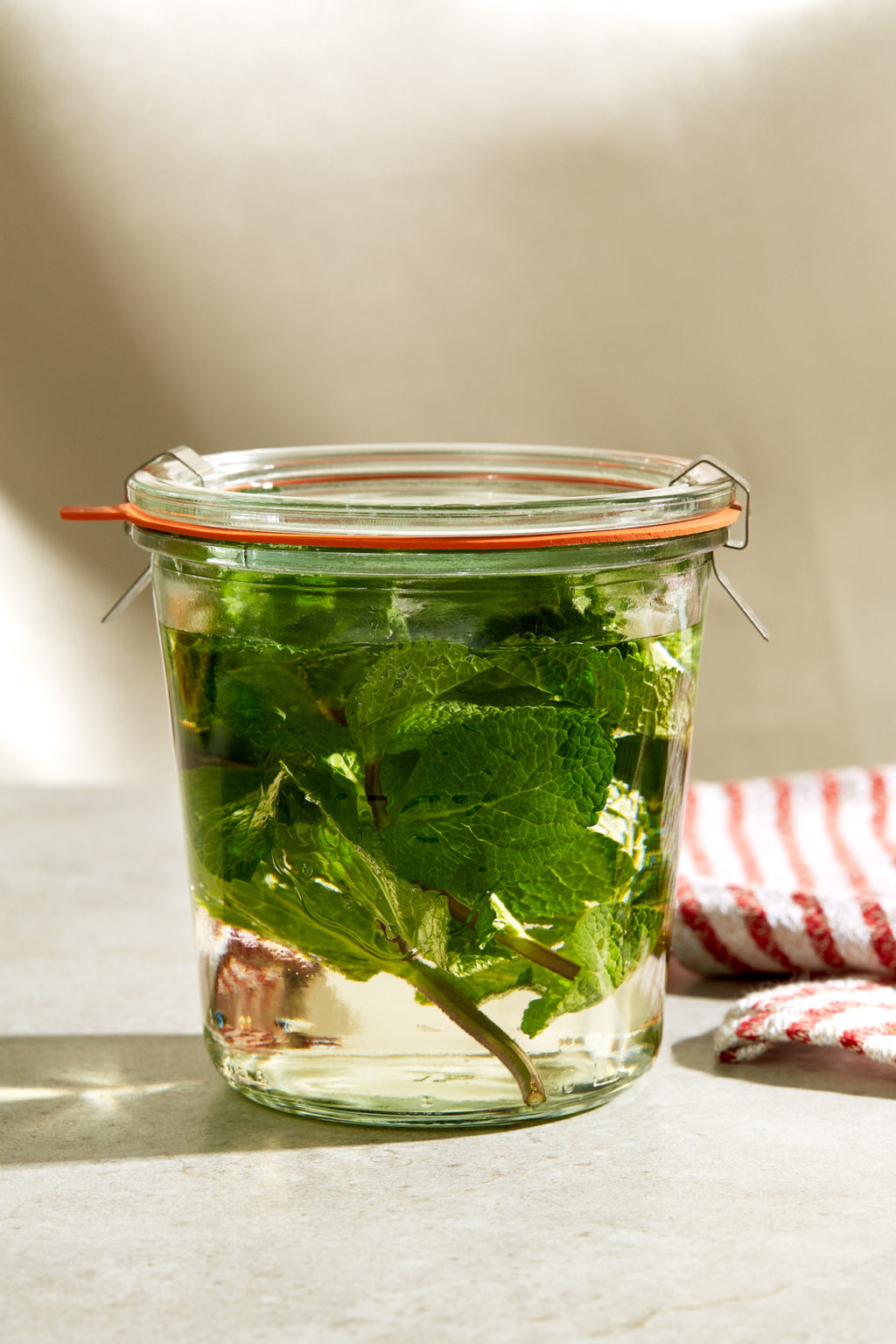 Sirop_menthe_maison_1ou2Cocktails_KP