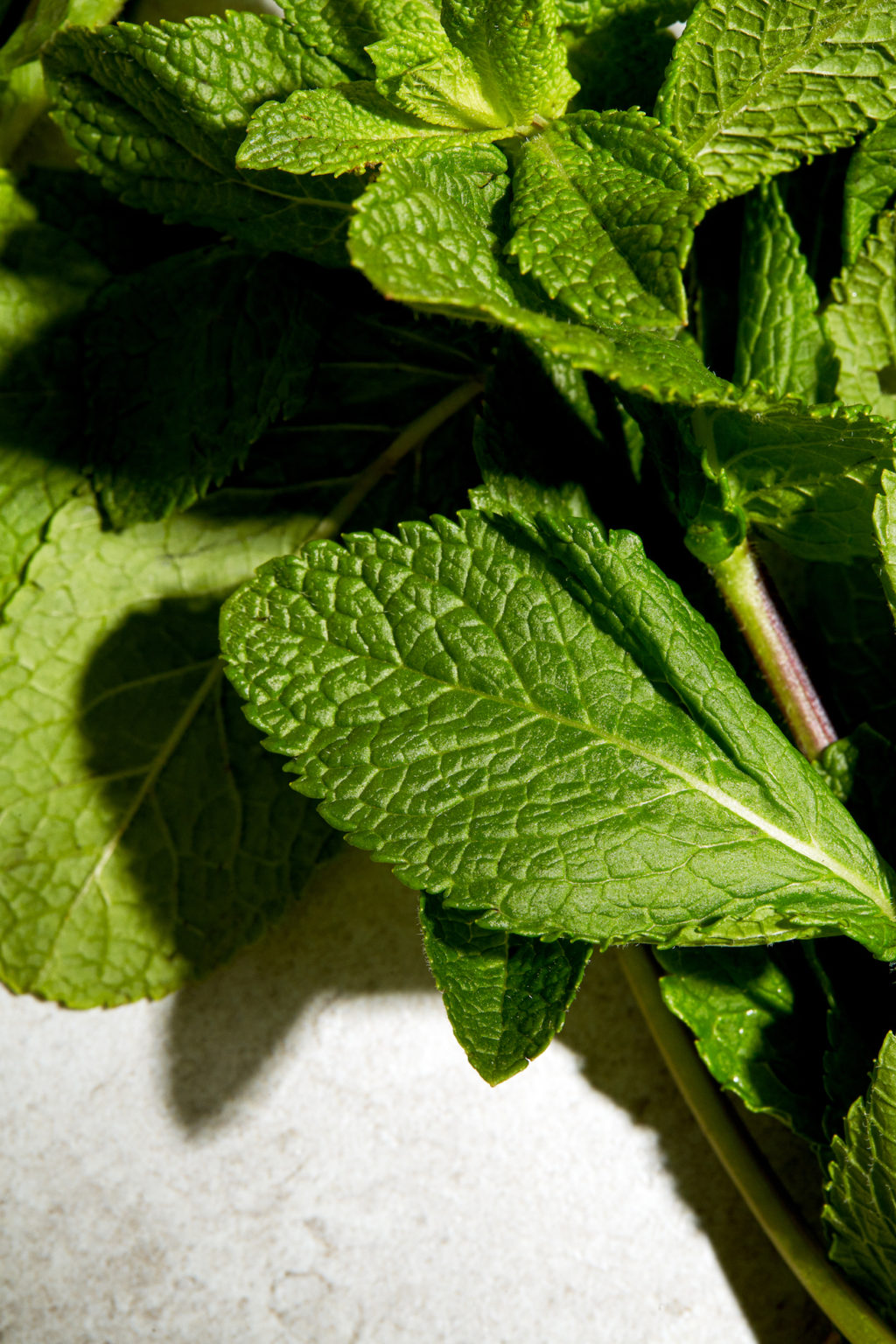 Sirop_menthe_maison_1ou2Cocktails_kp_03282022_22715_lr