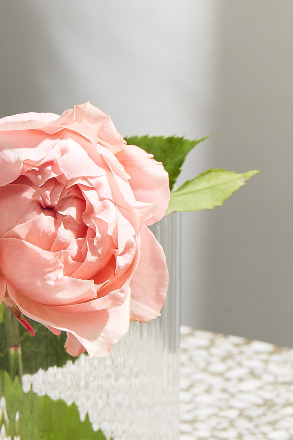 Cocktail_Spicy_Margarita_soho_1ou2Cocktails_kp_03282022_22793_lr