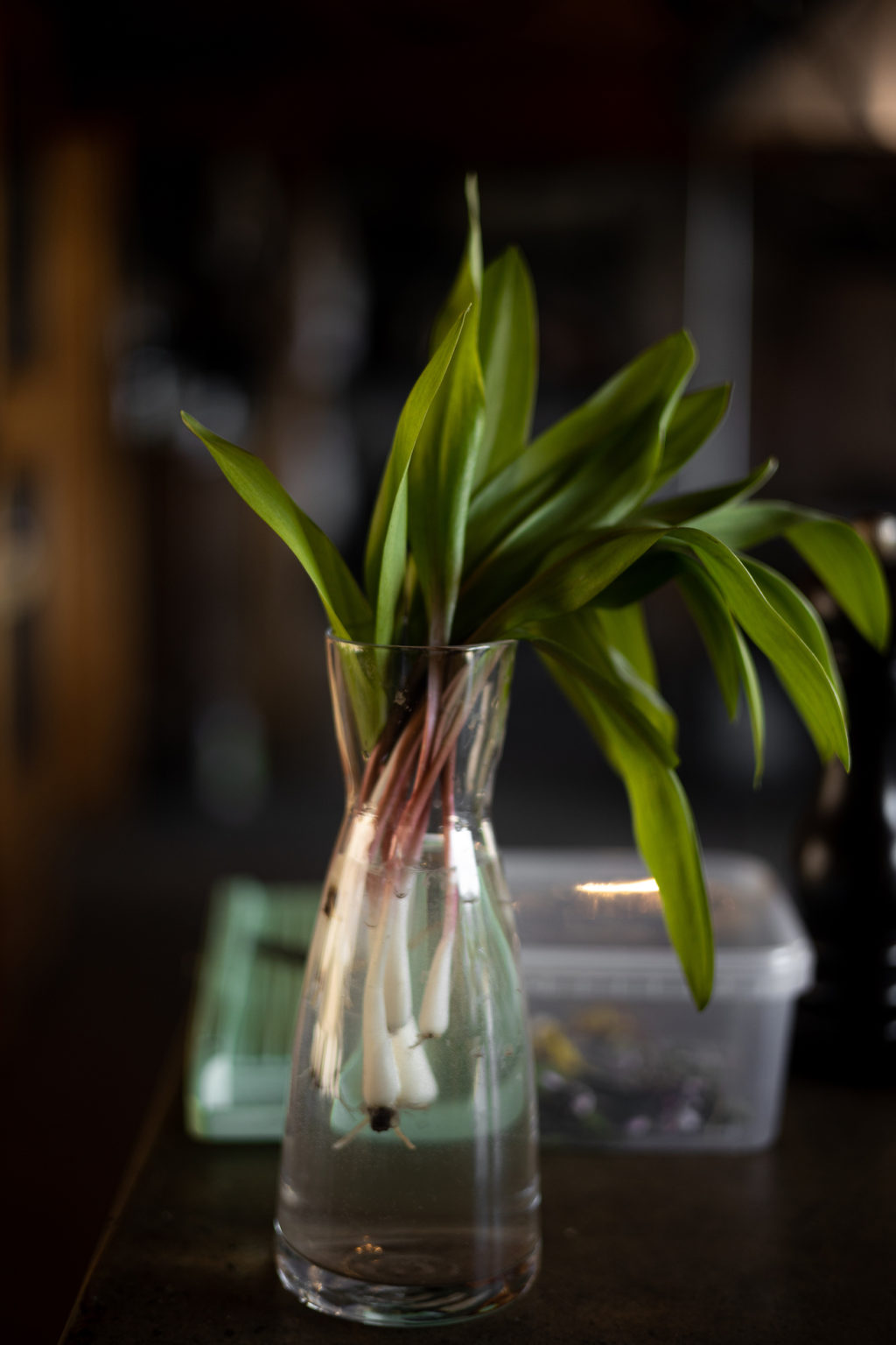 Recette_Salade_porchetta_pied_de_cochon_1ou2Cocktails_AW3A4721