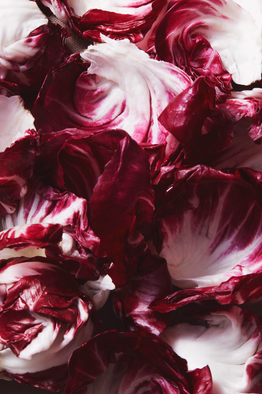 Cocktail_sirop_radicchio_1ou2Cocktails