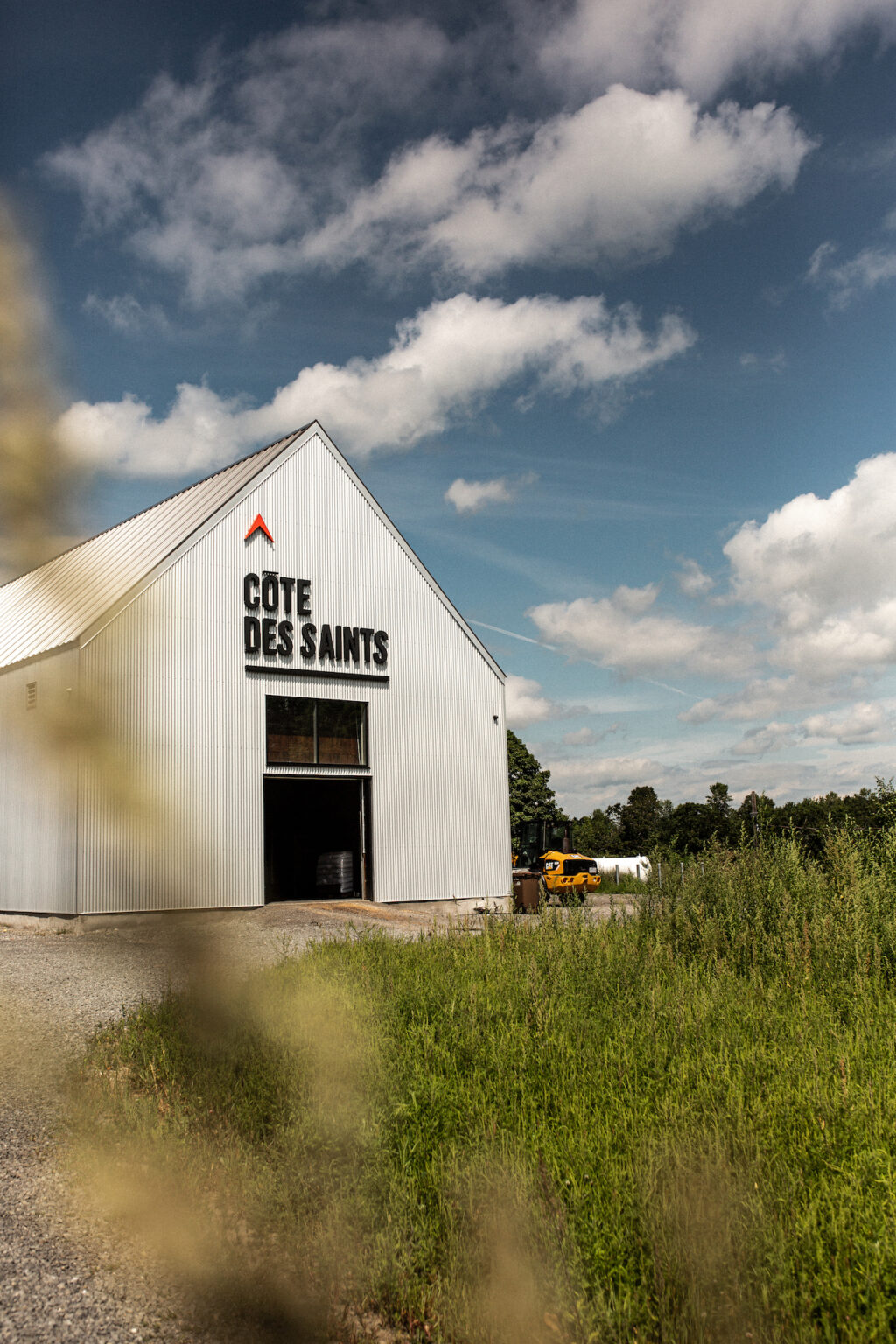 Cocktail_Gimlet_celeri_persil_Cote-Des-Saints_11