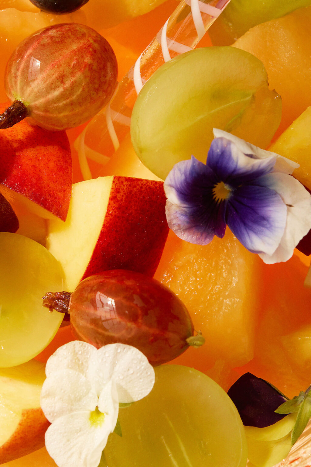 Recette_salade_de_fruits_aperol_1ou2cocktails_insert